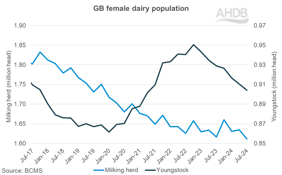 GB dairy female population as of July 2024